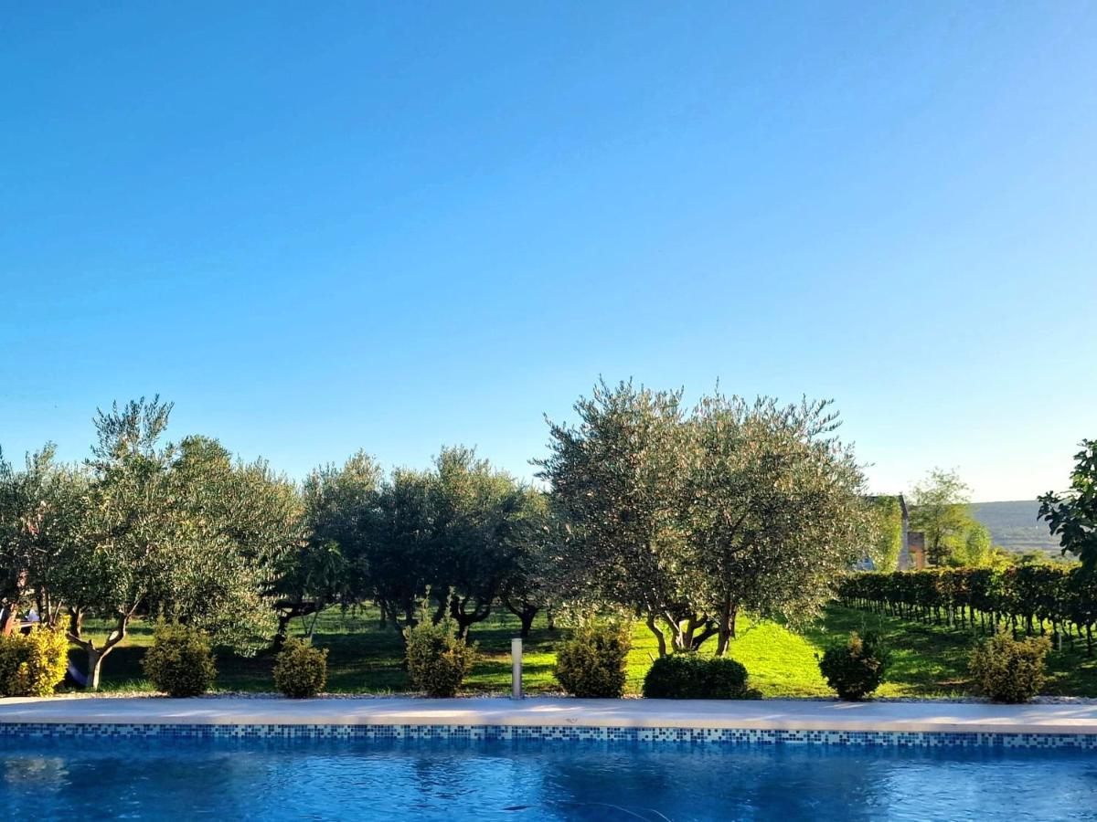 Villa Lorema-Pet Friendly On 5000 Sqm Garden,Pool, Jacuzzi, Billiard&Ps5 Sveti Filip i Jakov Ngoại thất bức ảnh