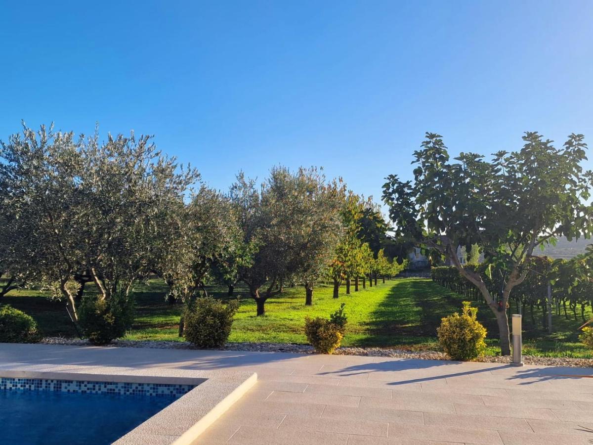 Villa Lorema-Pet Friendly On 5000 Sqm Garden,Pool, Jacuzzi, Billiard&Ps5 Sveti Filip i Jakov Ngoại thất bức ảnh